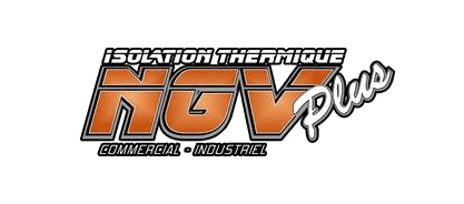 NGV Plus logo